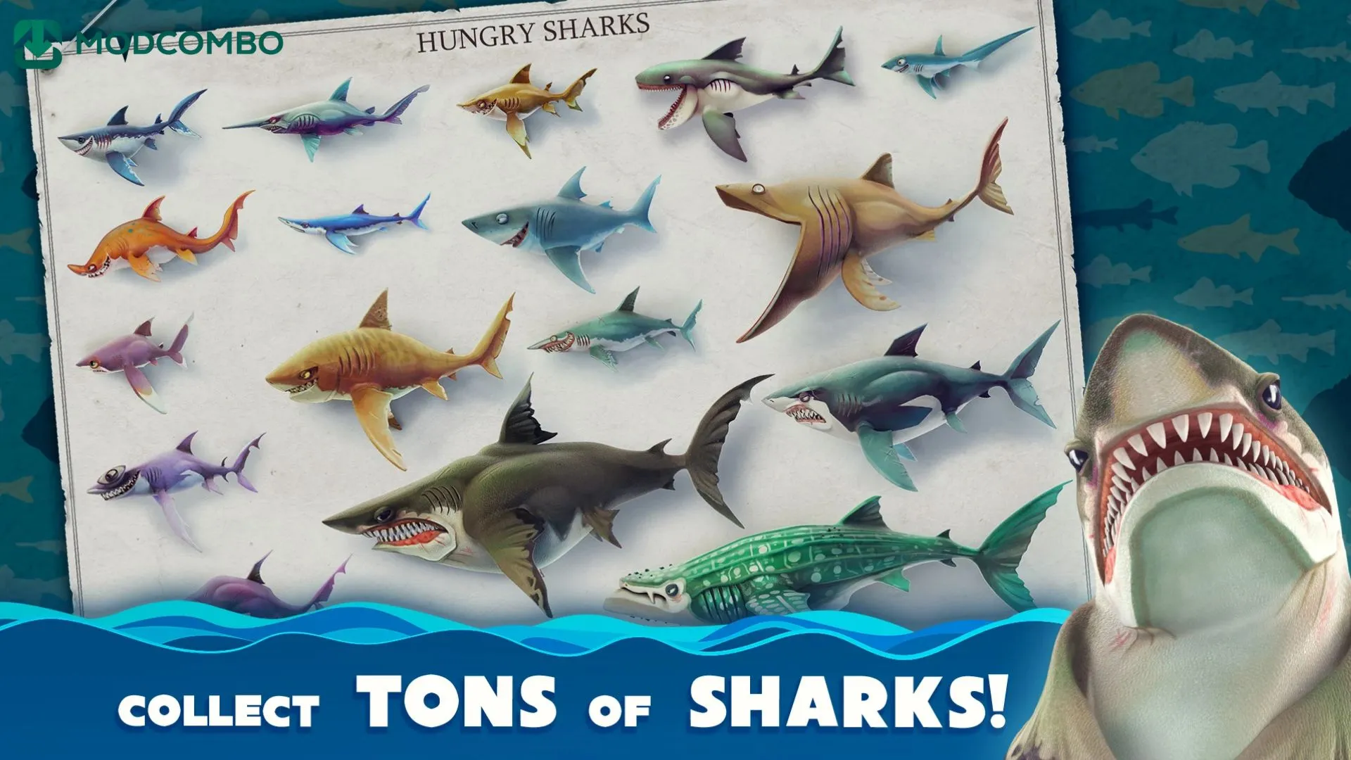 Unduh Hungry Shark World MOD APK dengan Uang dan Gems Unlimited untuk Android v7.8.1 5 Hungry Shark World Cocok untuk Siapa?